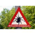 Kullancs tévhitek.